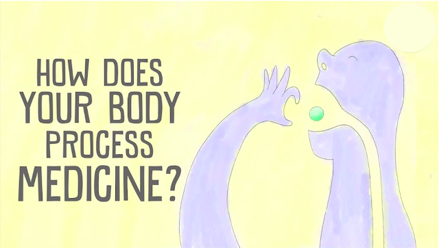 How Does Your Body Process Medicine