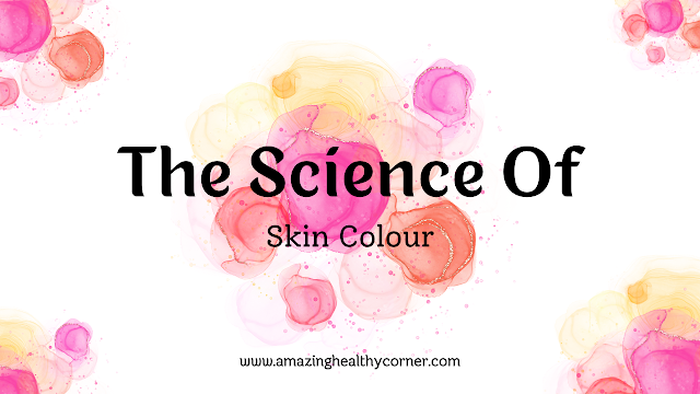 The Science of Skin Colour | The Study of Skin Colour