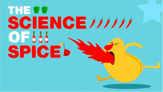 The Science Of Spiciness