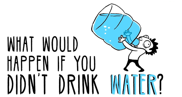 What Would Happen If You Didn't Drink Water